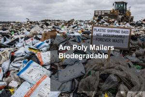 Blog 30 Are Poly Mailers Biodegradable
