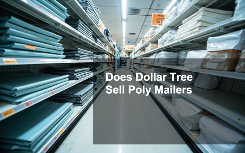Does Dollar Tree Sell Poly Mailers
